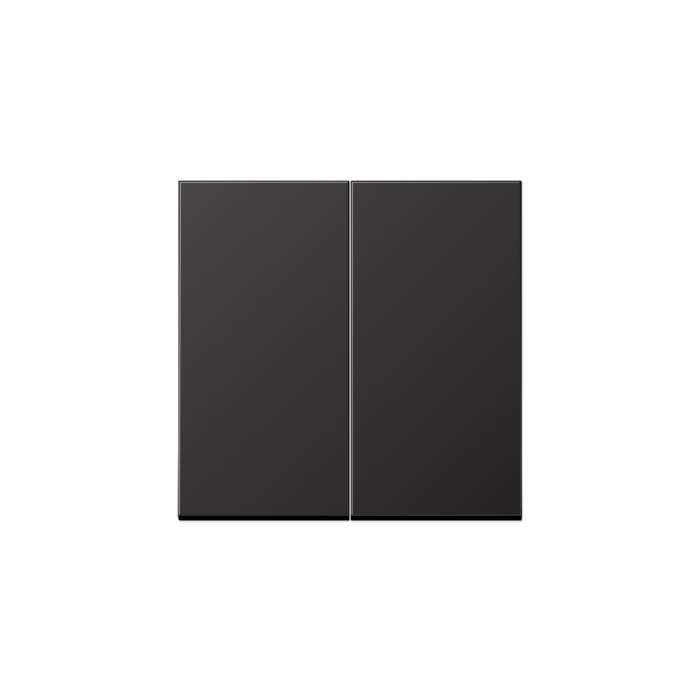 Jung (20) LS990 toets schakelaar dubbel of drukknop dubbel - alu dark Jung (20) LS990 toets schakelaar dubbel of drukknop dubbel - alu dark