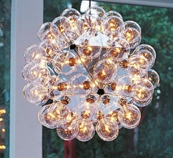 Taraxacum 88 S1 Flos Taraxacum 88 S1 Flos