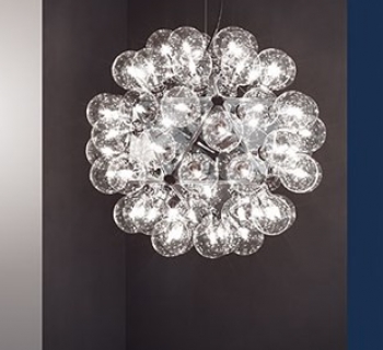 Taraxacum 88 S1 Flos Taraxacum 88 S1 Flos