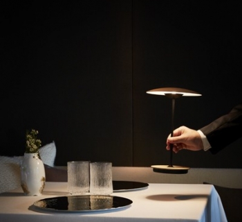 Ginger S Marset Ginger S Marset