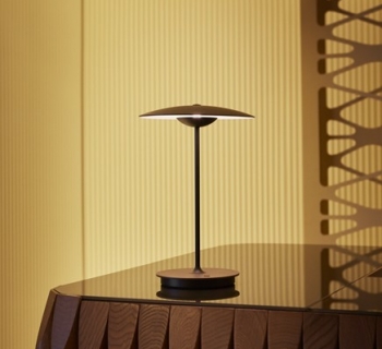 Ginger S Marset Ginger S Marset