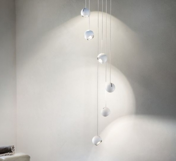 Spider Wit Spider Wit