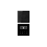 Jung (12) LS990 fm/dab+/bluetooth inbouwradio met luidspreker - zwart