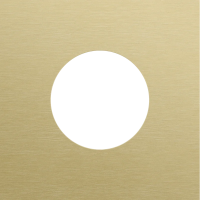 Niko (54) Rocker & Toggle frontplaat voor stopcontact alu gold brushed